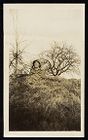 LeRoy M. Hale behind natural barrier
